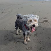Morty